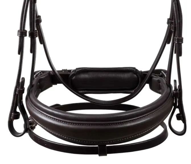 Capture d’écran 2026-01-22 143102.webp