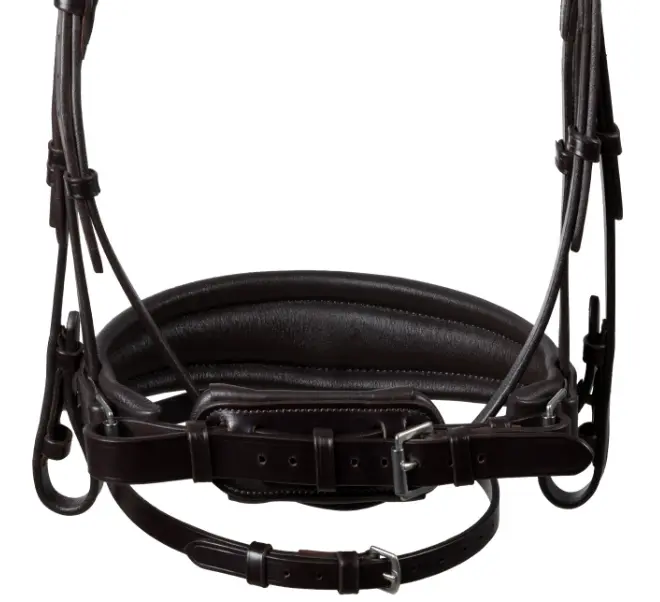 Capture d’écran 2026-01-22 143114.webp