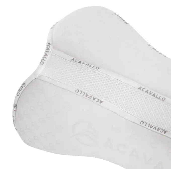 Capture d’écran 2026-01-22 150432.webp