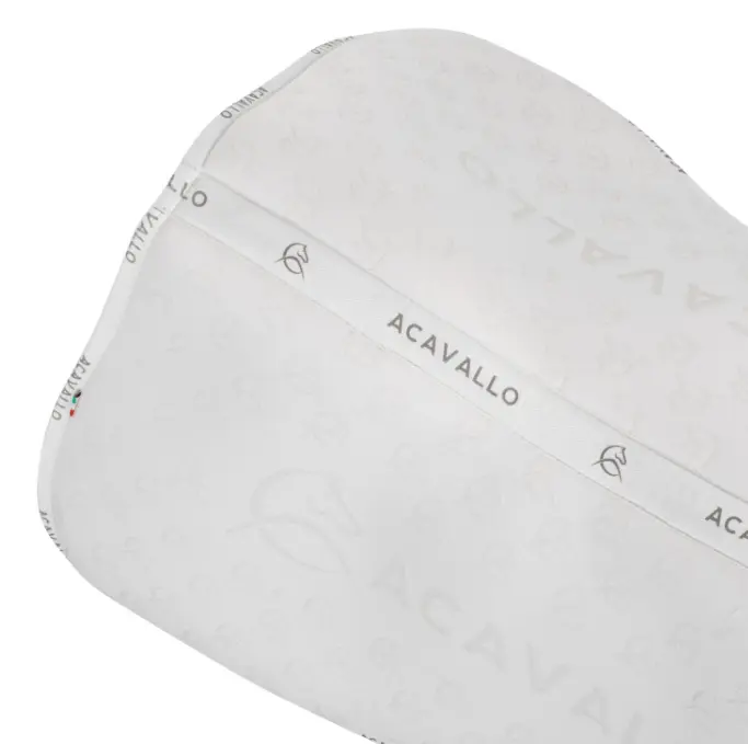 Capture d’écran 2026-01-22 152202.webp