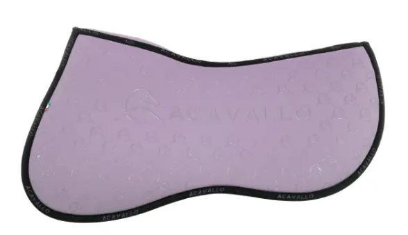 Capture d’écran 2026-01-22 153504.webp