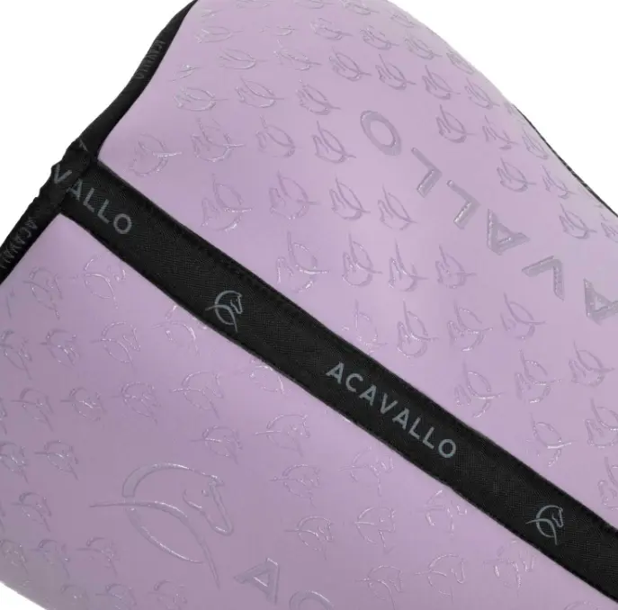 Capture d’écran 2026-01-22 153516.webp