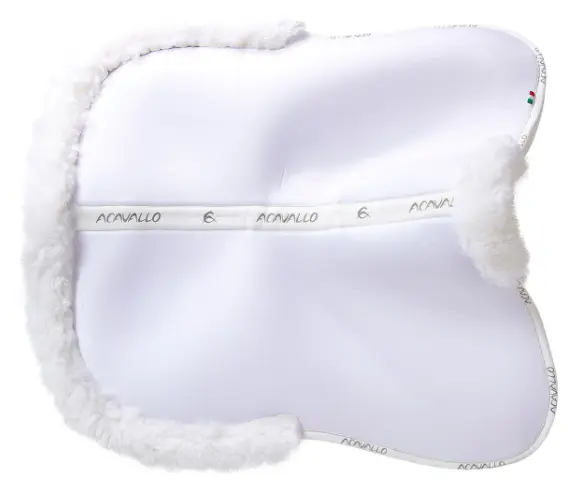 Capture d’écran 2026-01-22 155101.webp