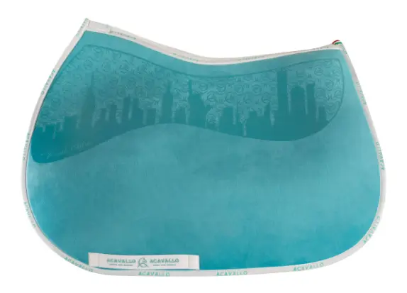 Capture d’écran 2026-01-22 161656.webp