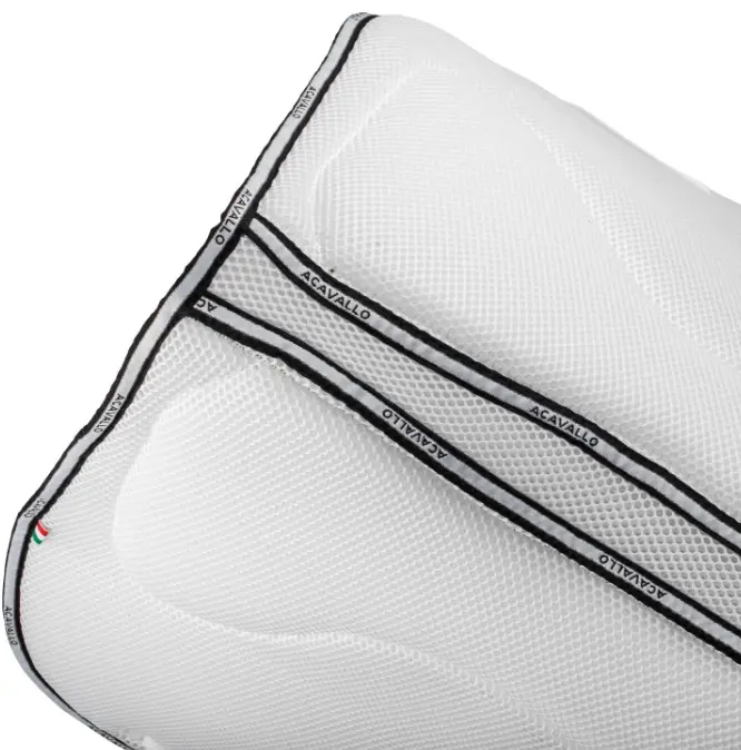 Capture d’écran 2026-01-22 173906.webp