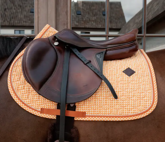 Capture d’écran 2026-01-29 140043.webp