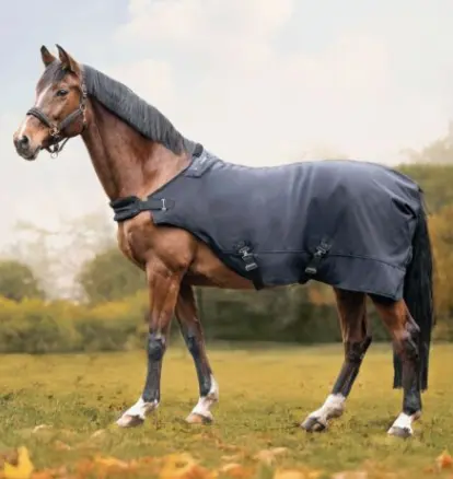 Capture d’écran 2026-01-30 153849.webp