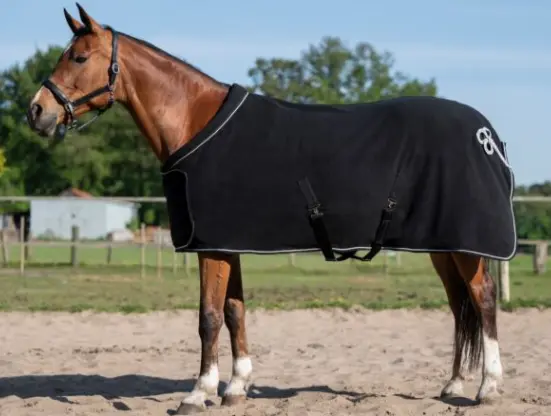 Capture d’écran 2026-01-30 154444.webp