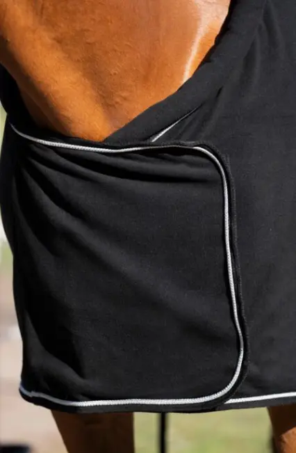 Capture d’écran 2026-01-30 154457.webp