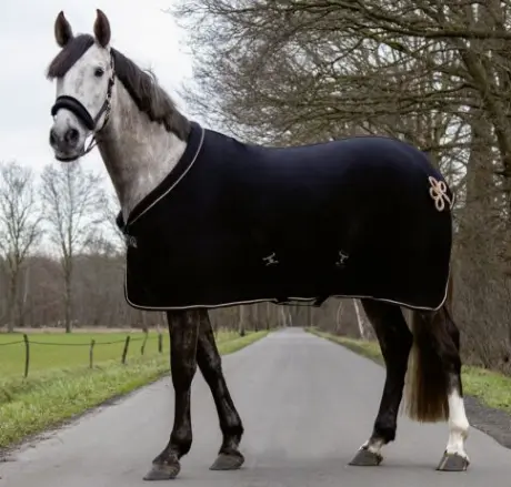 Capture d’écran 2026-01-30 160427.webp