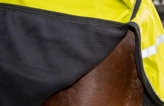 Capture d’écran 2026-01-30 163240.webp