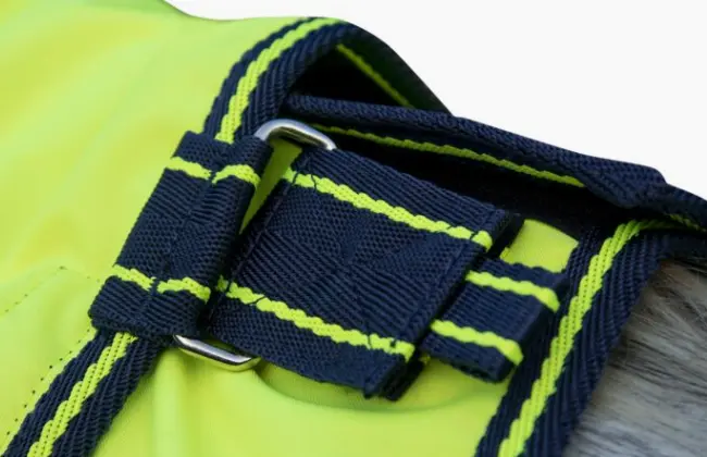 Capture d’écran 2026-01-30 163813.webp