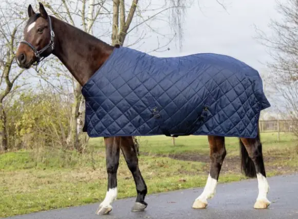 Capture d’écran 2026-01-30 164802.webp