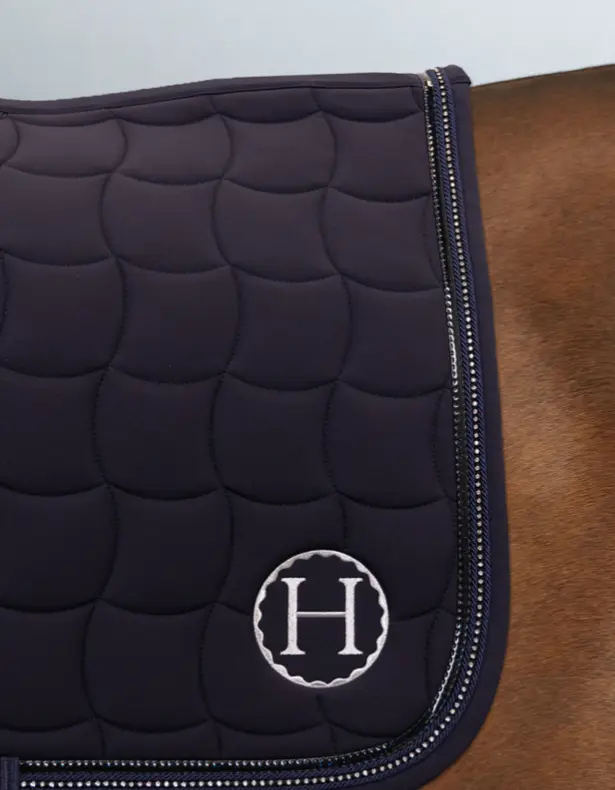 Capture d’écran 2026-02-13 162352.webp