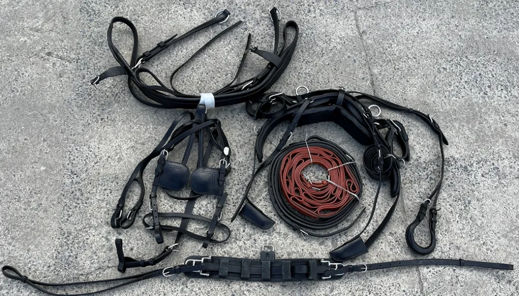 Capture d'écran 2026-03-16 134641.webp