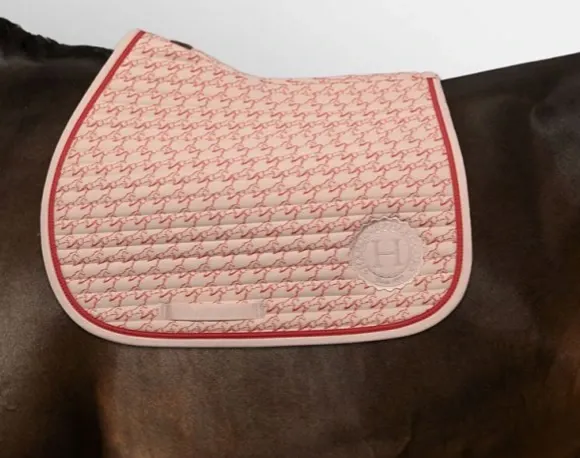 Capture d’écran 2026-03-20 170656.webp