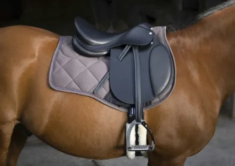 Capture d’écran 2026-03-27 113643.webp