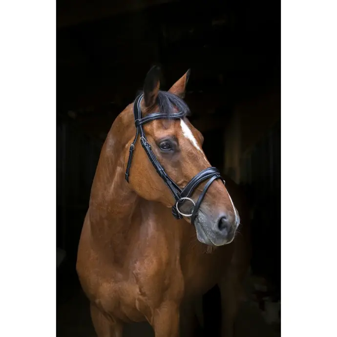 Bridon Éric Thomas Pro Wave (Cob, Noir)