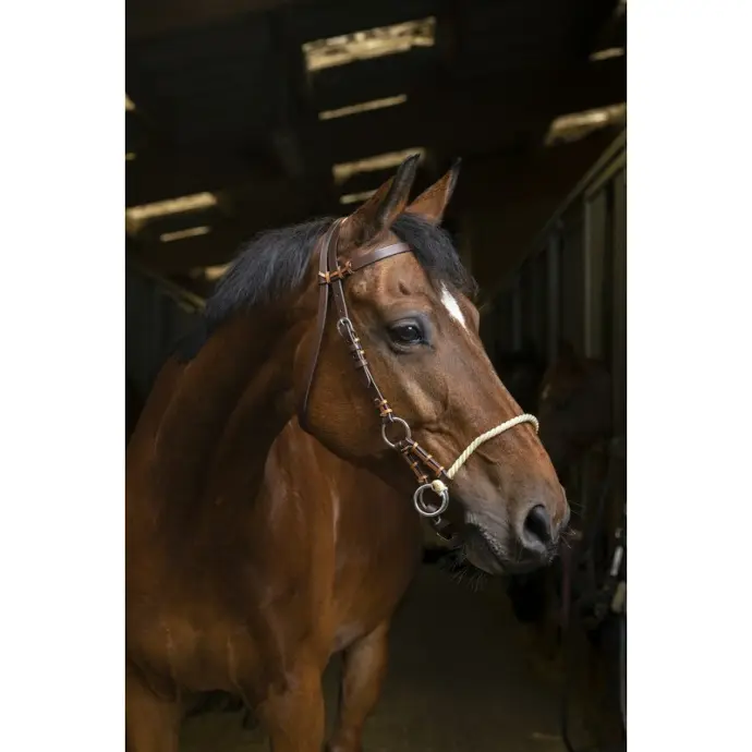 Bridon Side-pull Norton Pro Corde