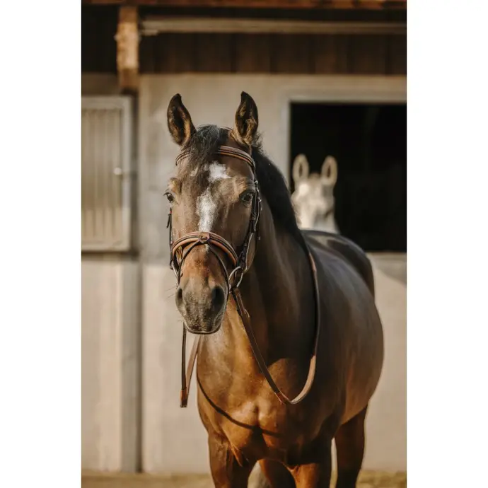 Bridon Éric Thomas Work (P/S, Noir)