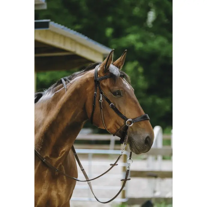 BRIDON NORTON BITLESS (Noir)