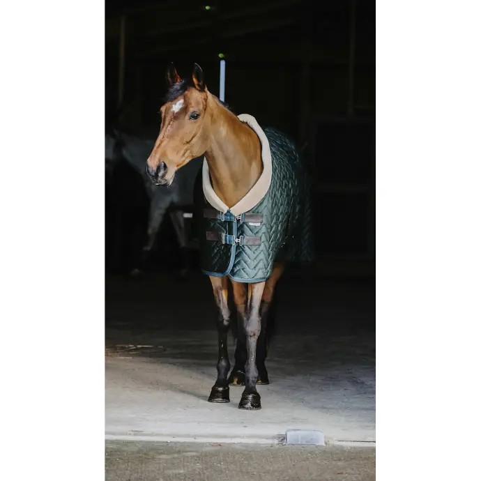 Couverture velours EQUITHÈME Teddy