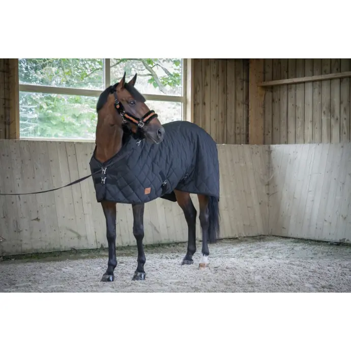 Couverture Box Matelassée 50GR - Paddock Sports