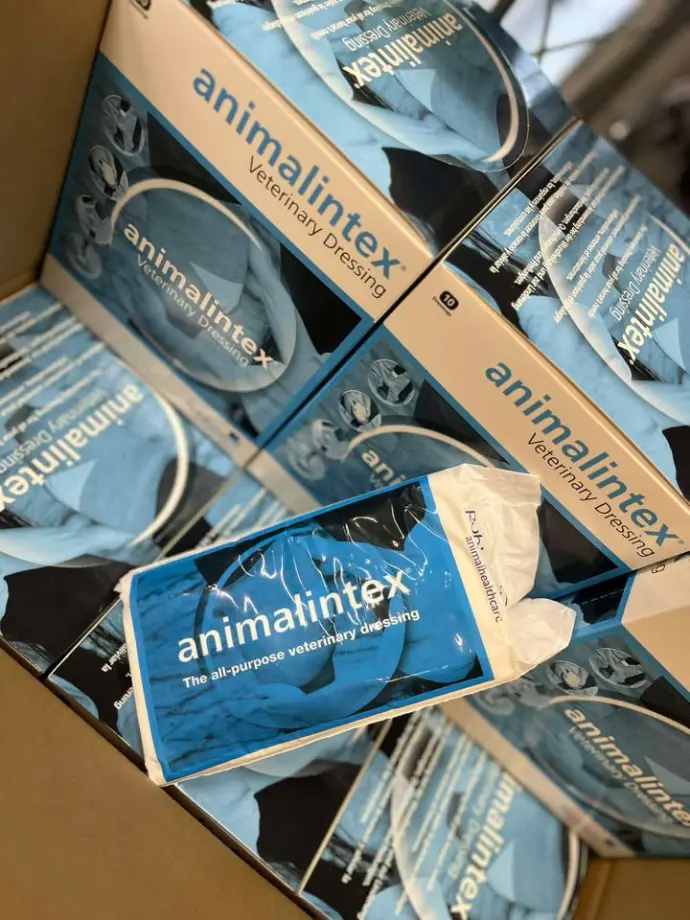 ANIMALINTEX  PACK 10PCS