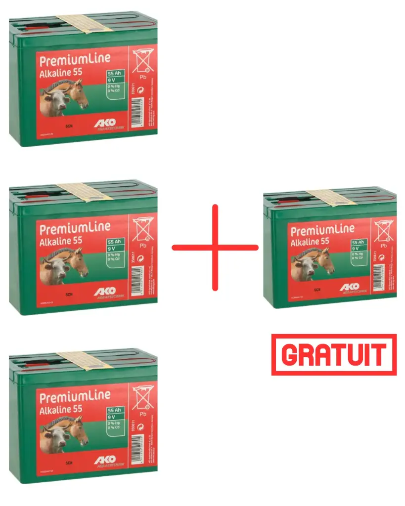 PACK Pile sèche alcaline 9 volts 55AH 3+1gratuite