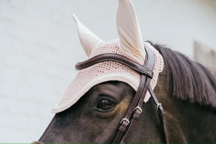 Bonnet Anti mouche Fly Veil Wellington Plaited Cord Kentucky