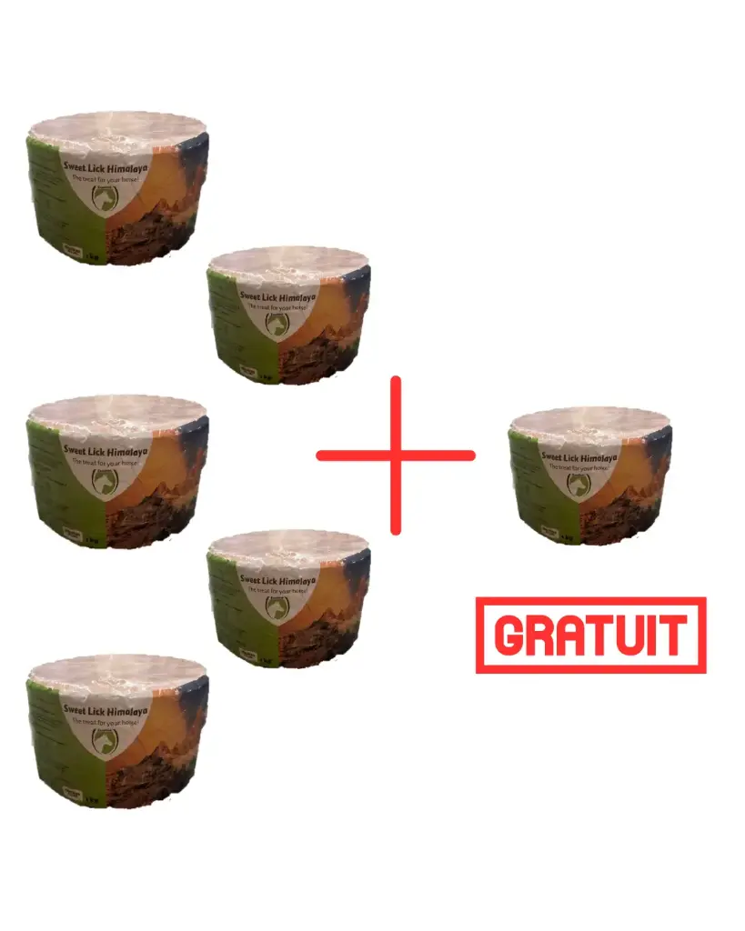 Pack sel himalaya 1kg 5+1gratuit