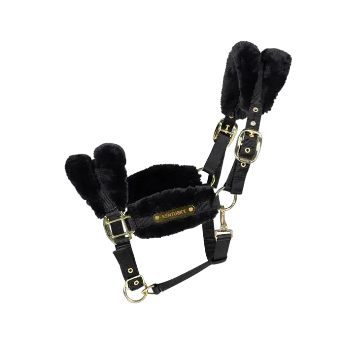 Licol Nylon mouton Soft Kentucky (Noir, P/S)