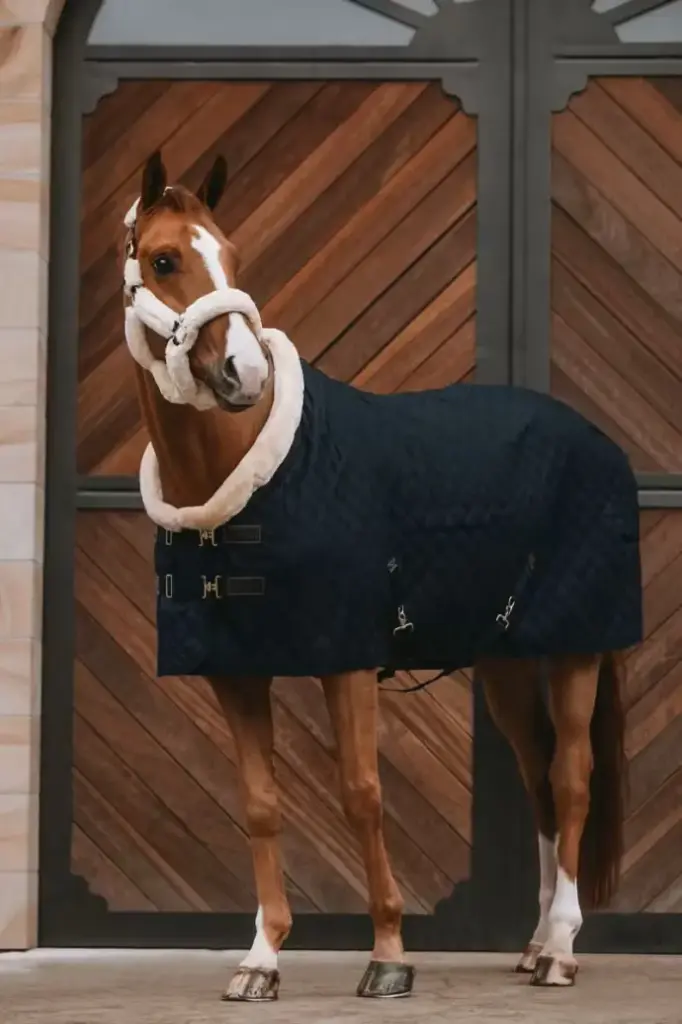 Couverture de présentation Kentucky.