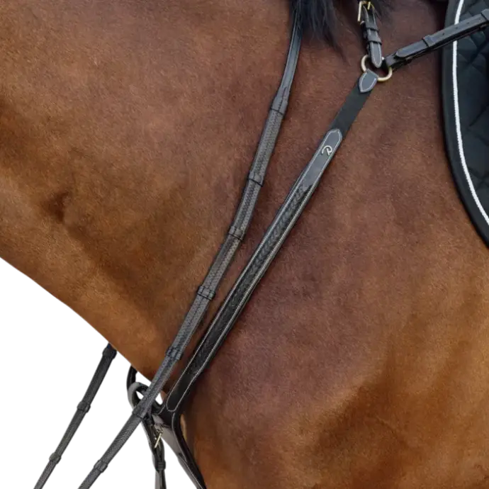 Collier de Chasse à Pont Tressé - D Collection - Dy'on (Noir, Cob)