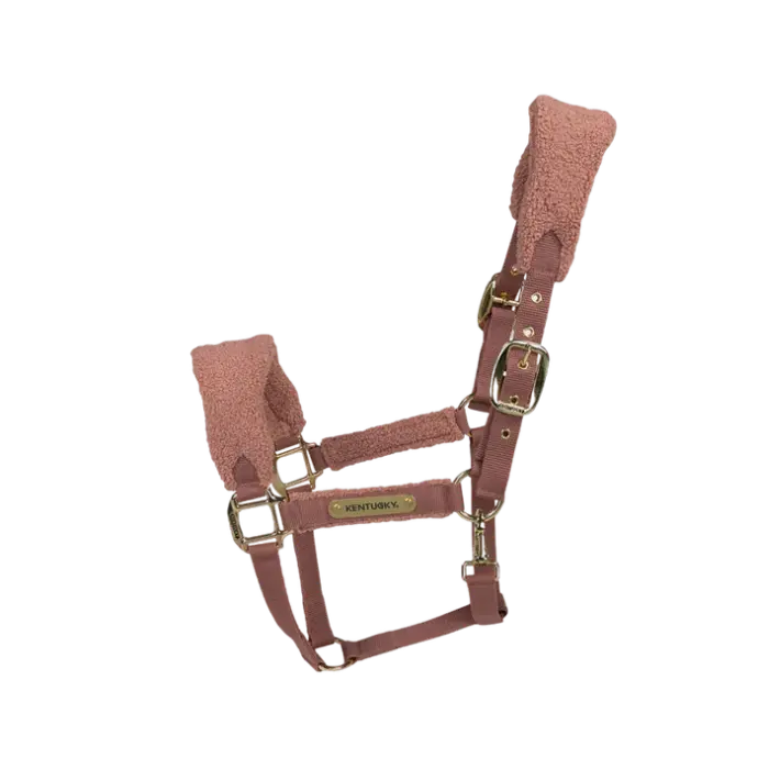 Licol Teddy Fleece Kentucky
