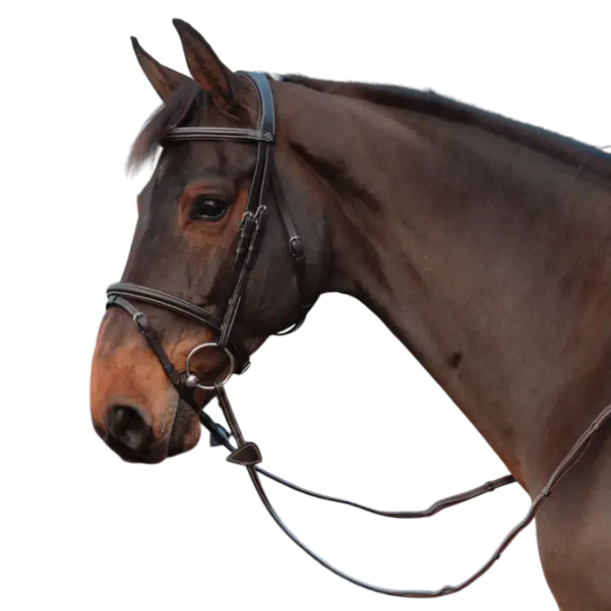 Rênes en cuir à Poignées - Working By Dy'on - Dy'on