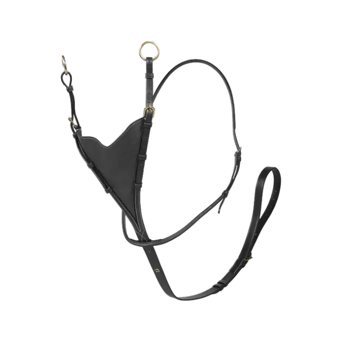Martingale Pleine Cuir Soft - D Collection - Dy'on (Noir, P/S)