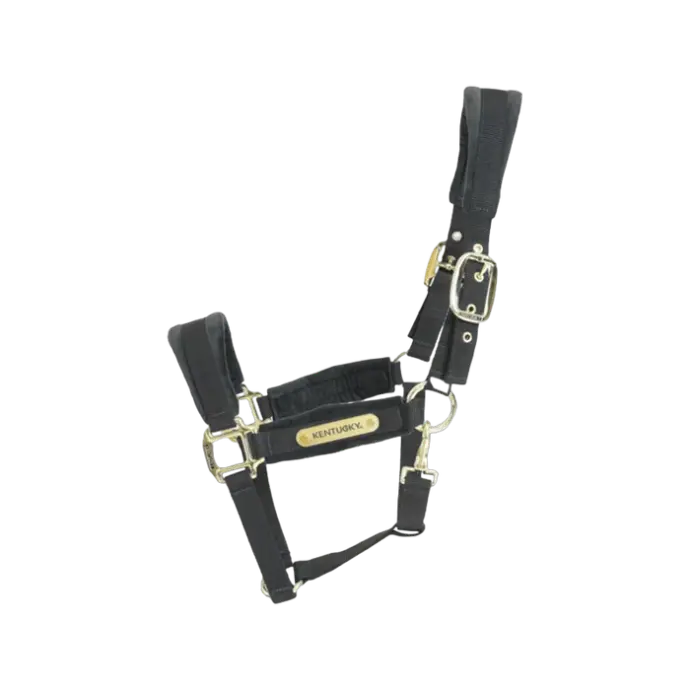 Licol Velvet Kentucky (Noir, P/S)