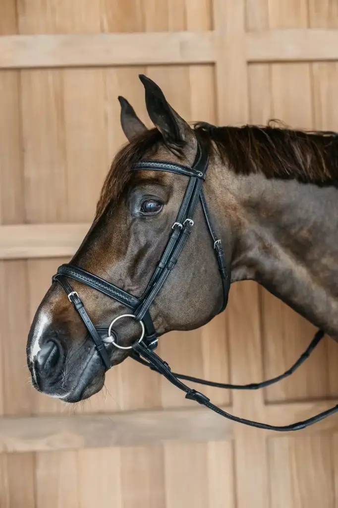 Bridon Muserolle Combinée Tressé - New English Collection - Dy'on (Noir, P/S)