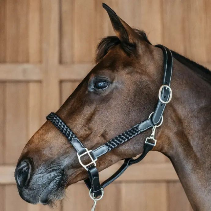 Licol tressée - Working By Dy'on - Dy'on