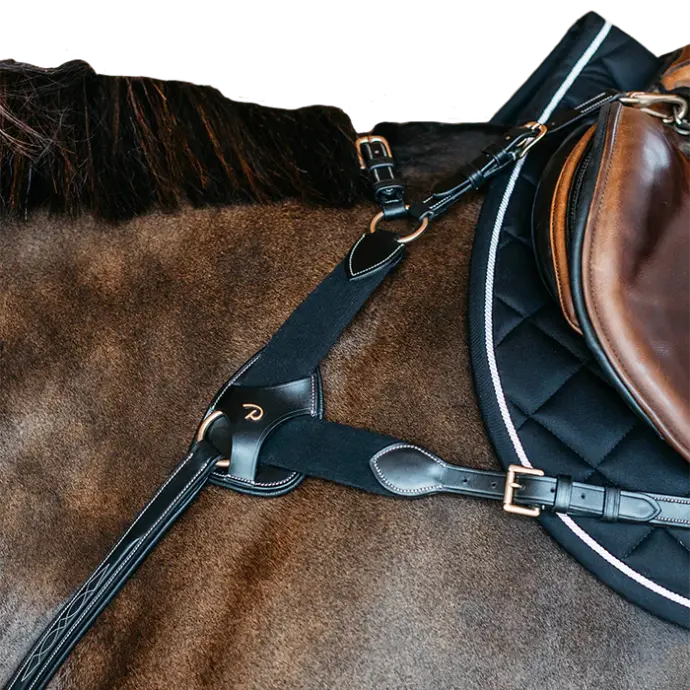 Pad de Protection pour collier de chasse 5 points - Dy'on (Noir)