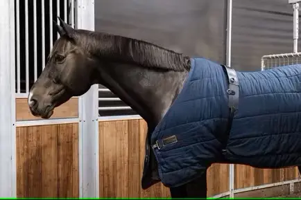 Surfaix de Marcheur en Nylon Kentucky