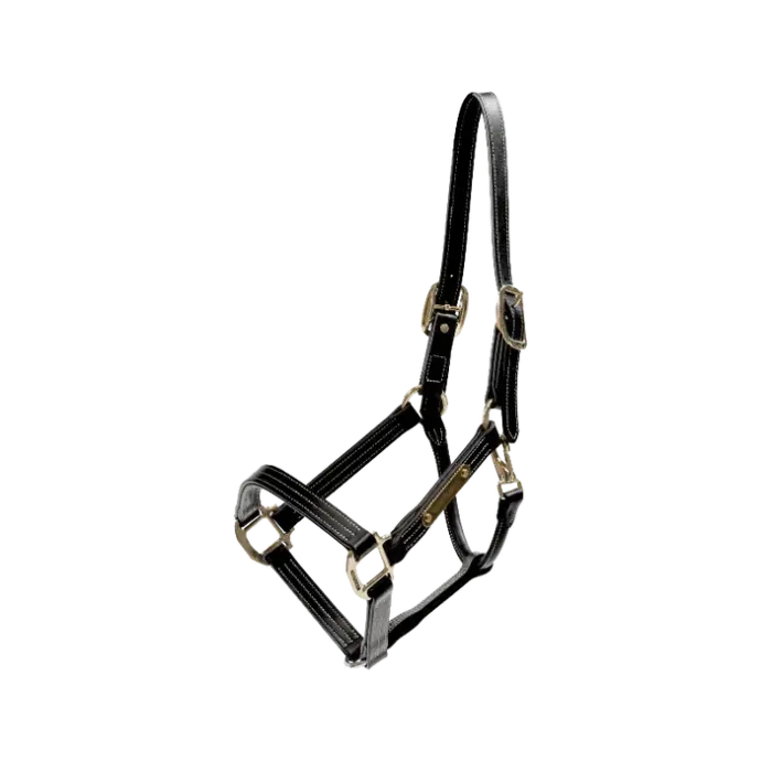 Licol en cuir Wellington Kentucky