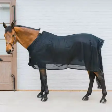 Chemise Anti-mouches Kentucky