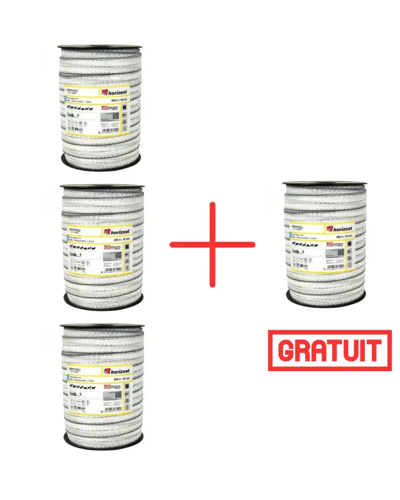 Pack Ruban Horizont Turbomax T40 200M 3+1 gratuit
