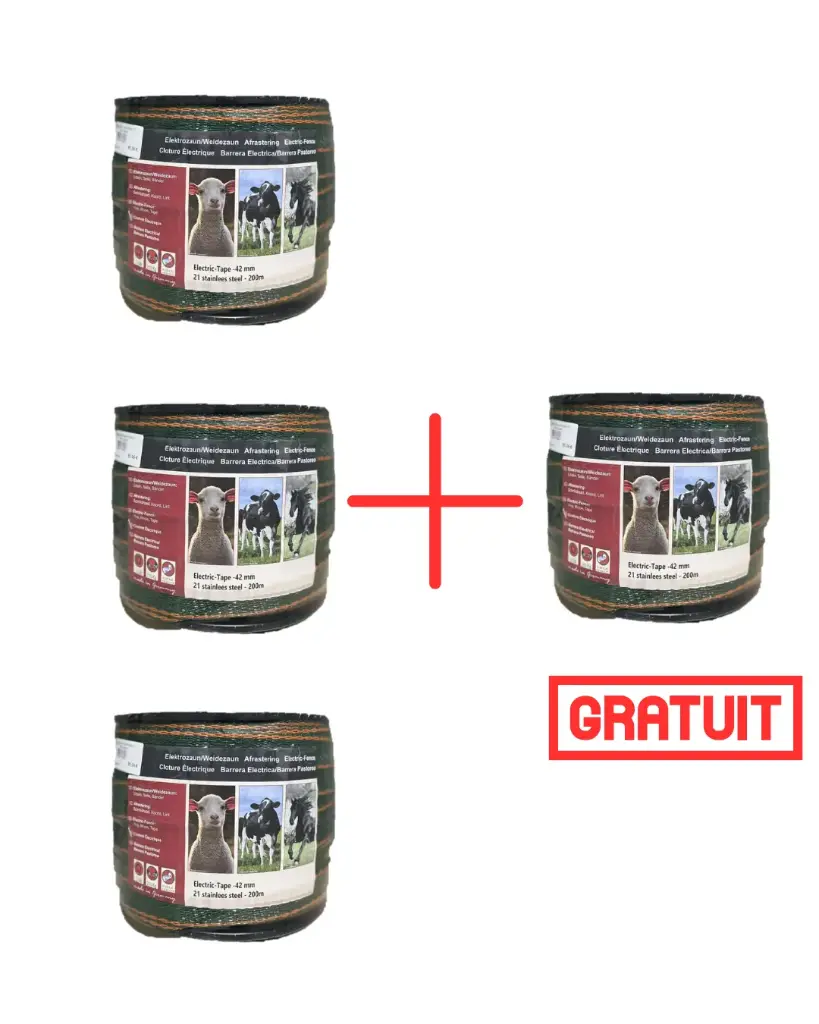 PACK 3+1 GRATUIT RUBAN VERT 42MM 200M