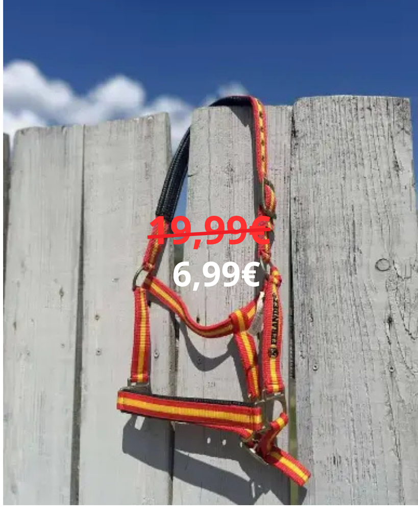 LICOL SUPERIEUR ROUGE/JAUNE