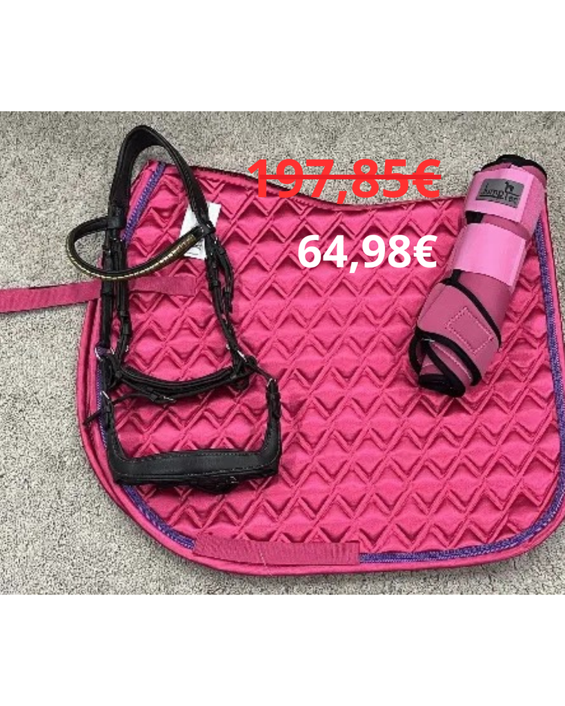 ENSEMBLE CHABRAQUE DIVA + GUETRES JUMPTEC + BRIDON STEWART