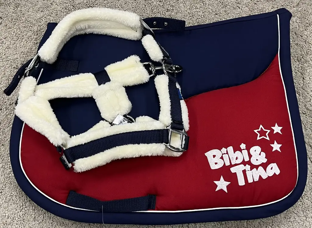 ENSEMBLE TAPIS BIBI + LICOL COSY