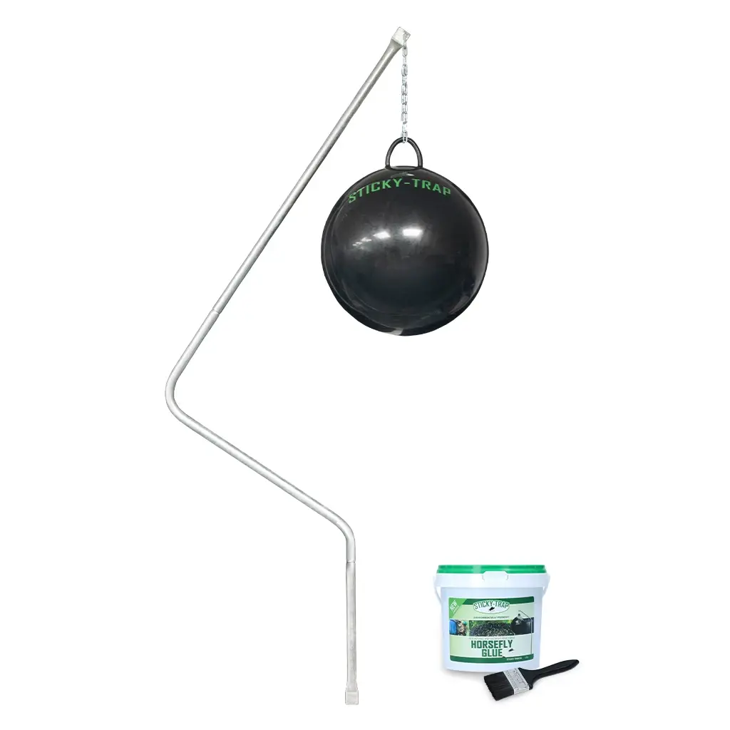 STICKY BALL + COLLE + PIED